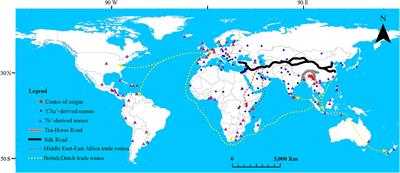 From the Wild to the Cup: Tracking Footprints of the Tea Species in Time and Space